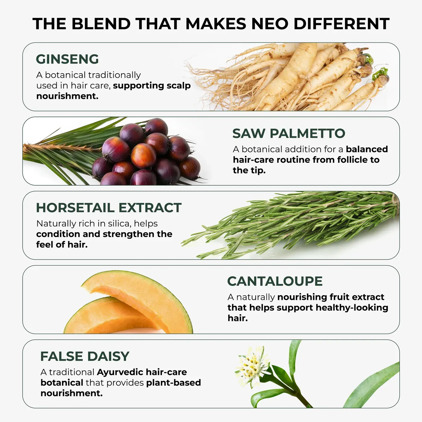 Green Wealth Neo Hair Lotion® — Good to know Green Wealth Neo Hair Lotion® — Good to know